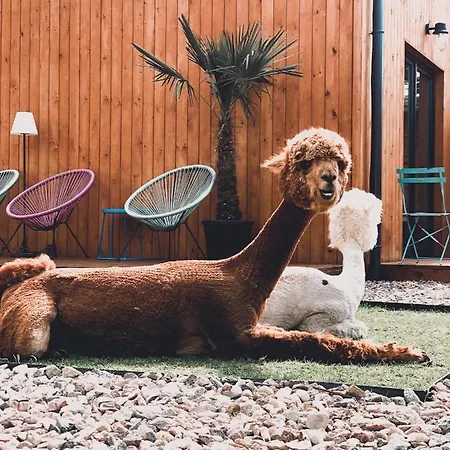 Panzió 2 Stodoly Chillout 4*