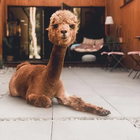 Panzió 2 Stodoly Chillout Dziwnów