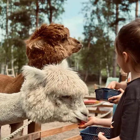 Panzió 2 Stodoly Chillout