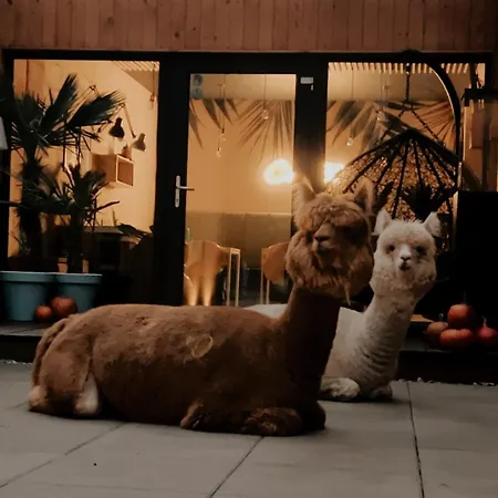 2 Stodoly Chillout Panzió 4*