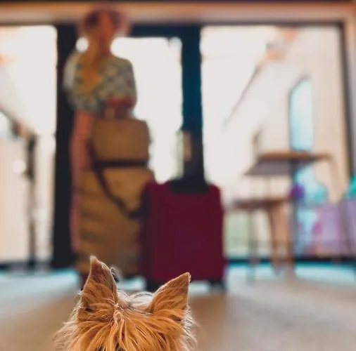 2 Stodoły Chillout Dziwnów