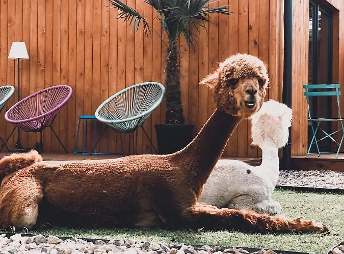 Nocleg ze śniadaniem 2 Stodoły Chillout 4*