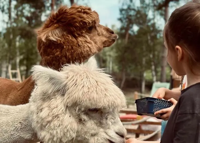 Nocleg ze śniadaniem 2 Stodoły Chillout