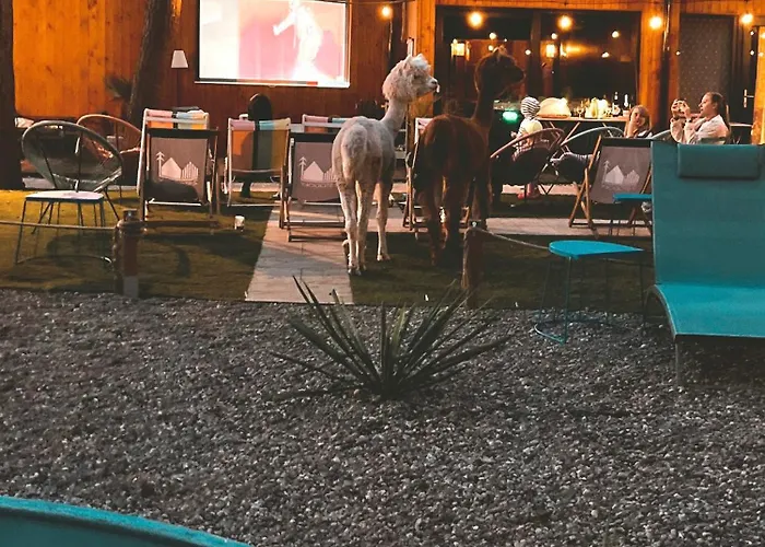 2 Stodoły Chillout Dziwnów