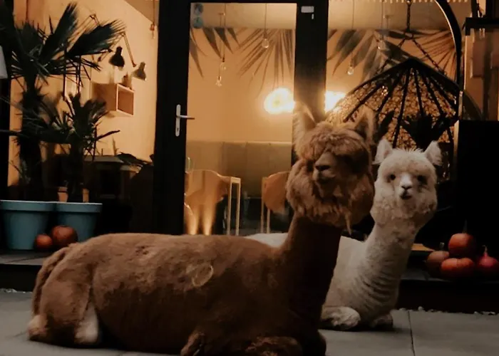 2 Stodoły Chillout Nocleg ze śniadaniem 4*